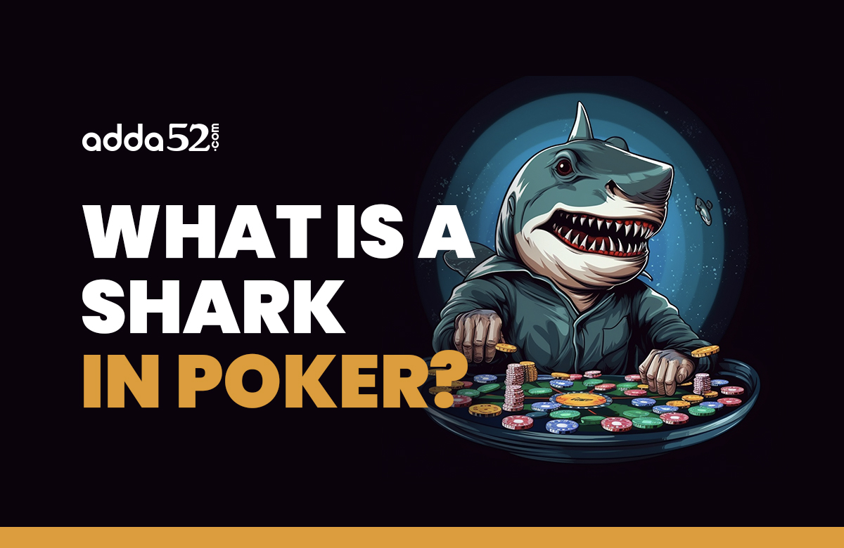 Shark in Poker