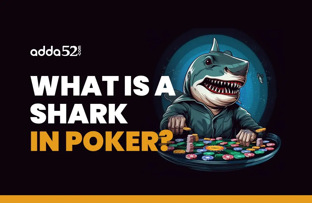 shark in poker