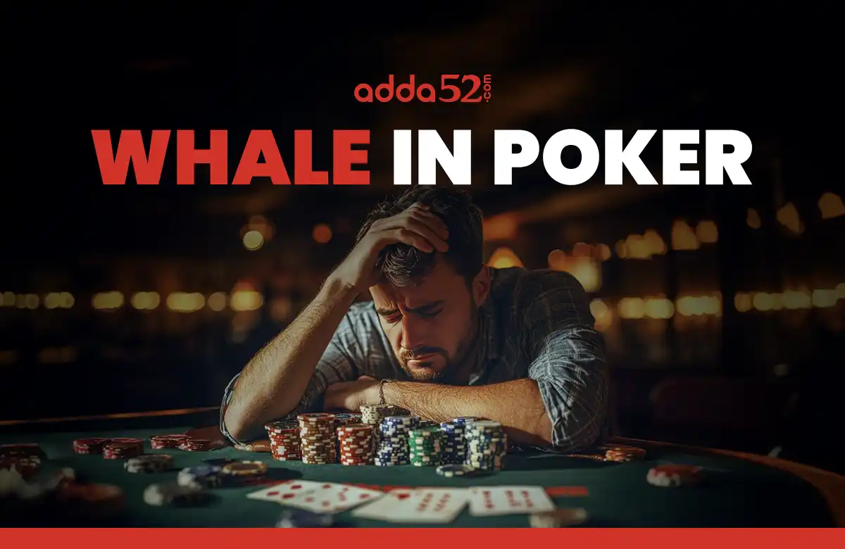 whale in poker